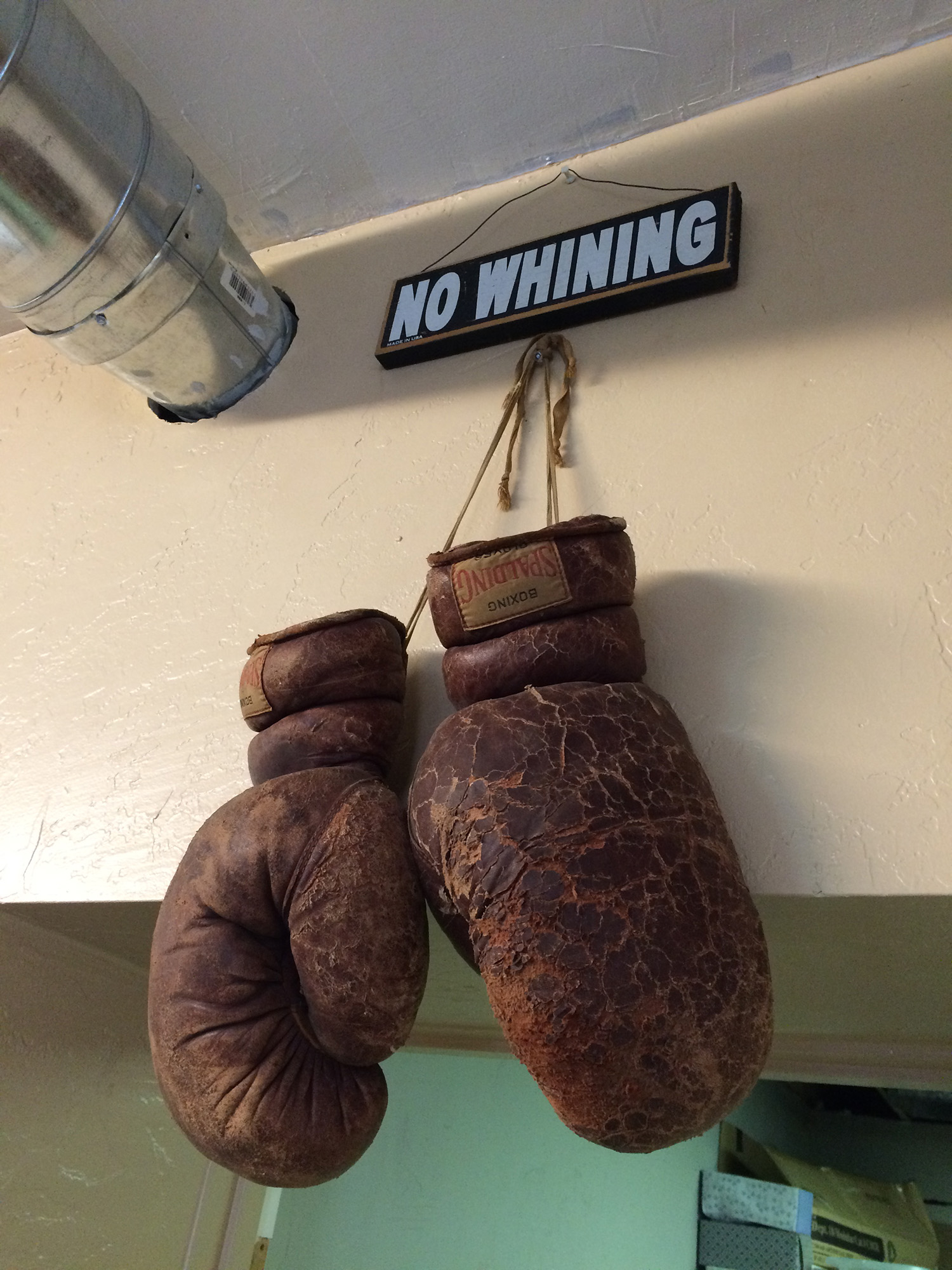 Boxing gloves hanging from a wall with a sign that reads "No Whining".